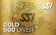Ssi-gold500-card